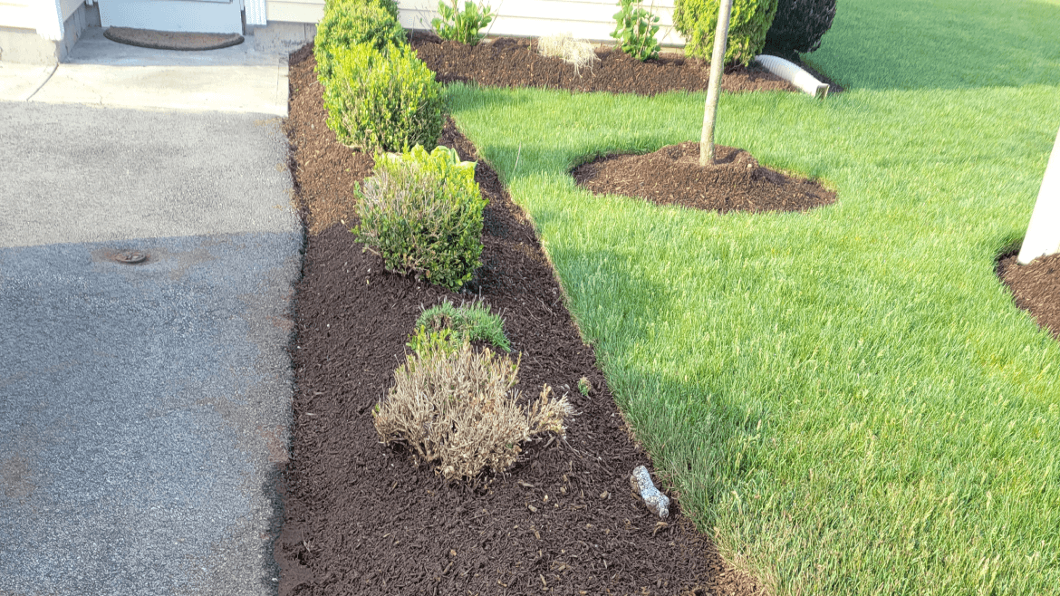 Full-Service Landscaping Solutions